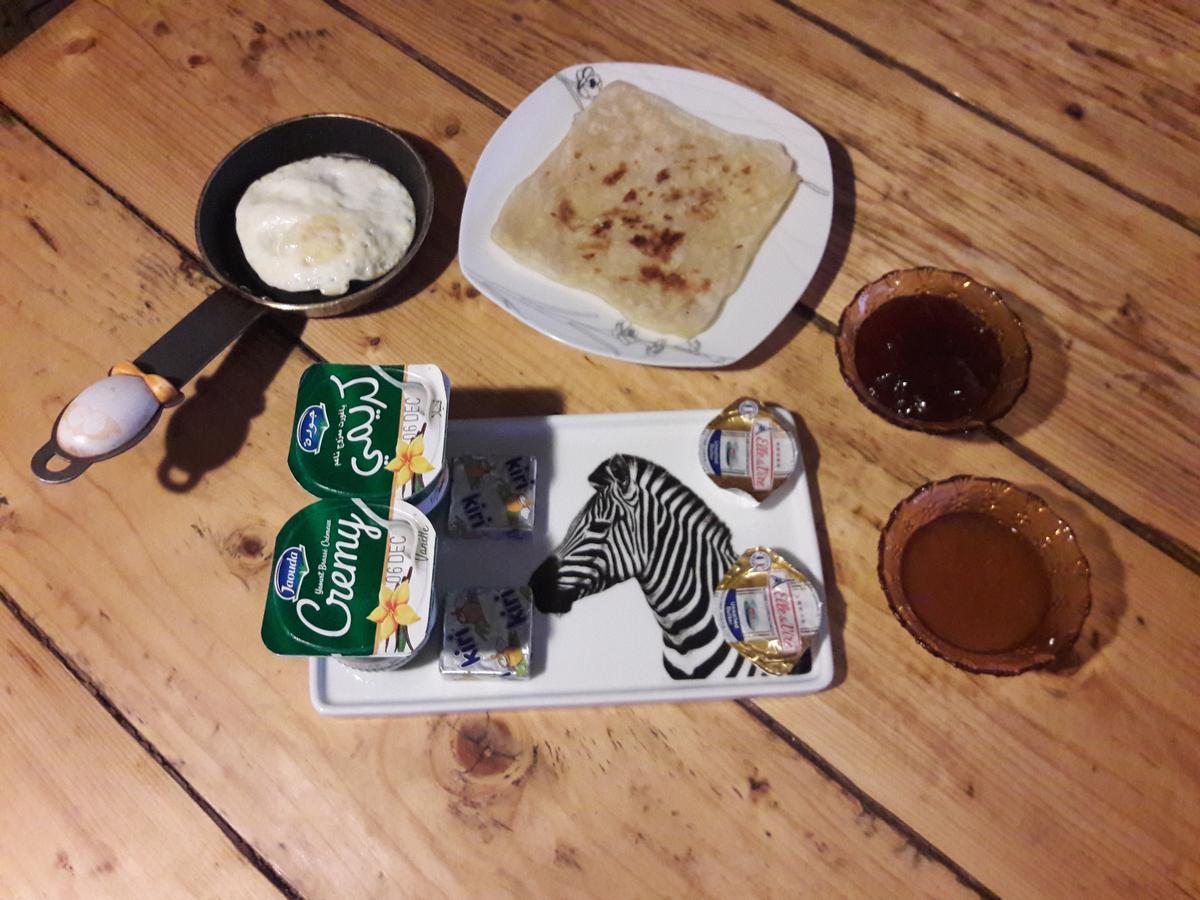 Zebra * Ouzoud
